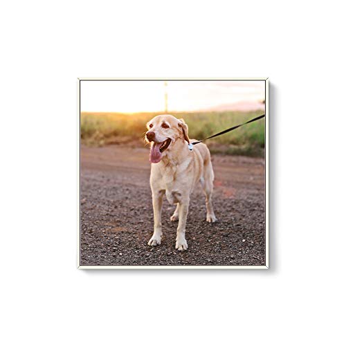 Custom Framed Canvas Prints with Your Photo for Pets