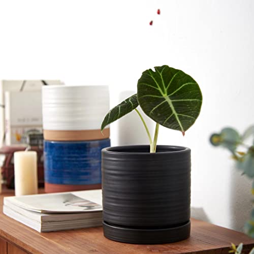 6 Inch Plant Pots