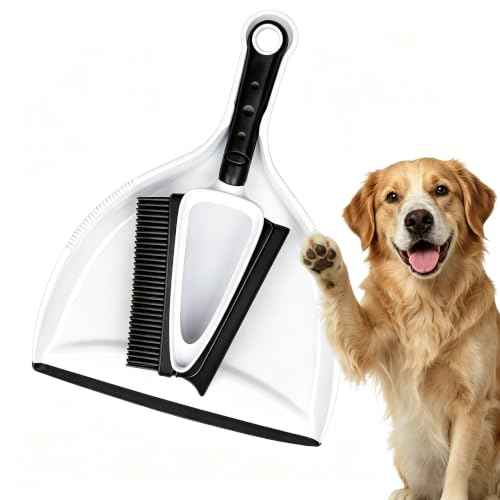 Pet Hair Removal Brush with Mini Dustpan