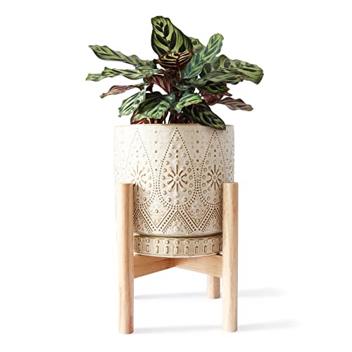 8 Inch Plant Pot with Stand