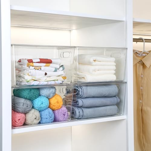 10 Pack Clear Stackable Storage Bins with Lids and Handles (10 Count)