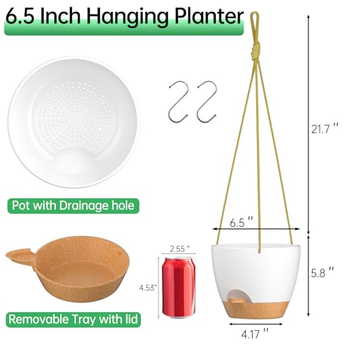 6.5 Inch Hanging Planters for Indoor Outdoor Plants (2 Count)