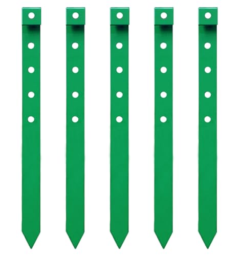 24 Pack 10" Heavy Duty Flat Spikes with Holes