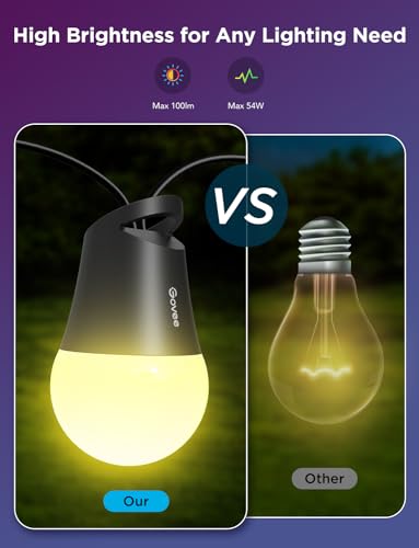 Smart Outdoor String Lights 2 (48 Foot)