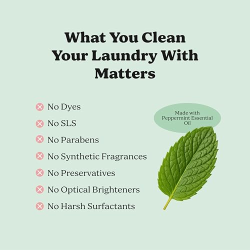 Laundry Detergent Powder Alternative (60 Ounce)