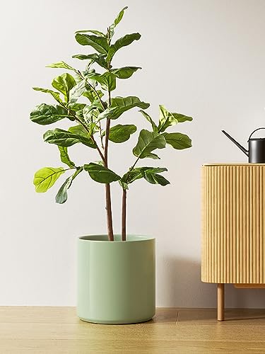 12 Inch Pot for Plants