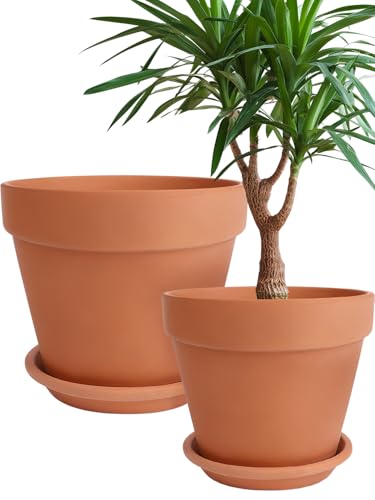 Terracotta Pot with Saucer 10&12 Inch (2 Count)