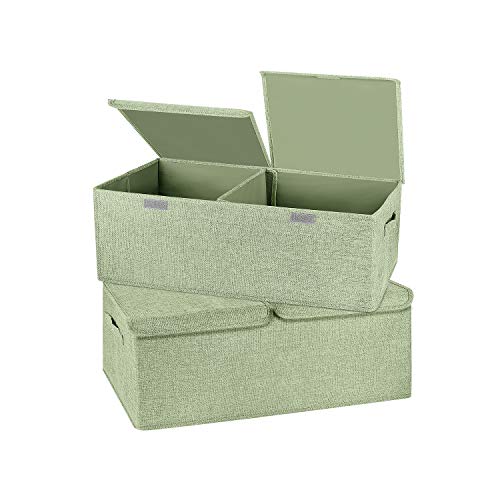2 Pack Storage Boxes with Lids and Handles (2 Count)