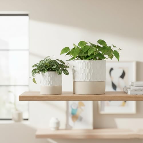 Ceramic Self Watering Plant Pot for Indoor Plants