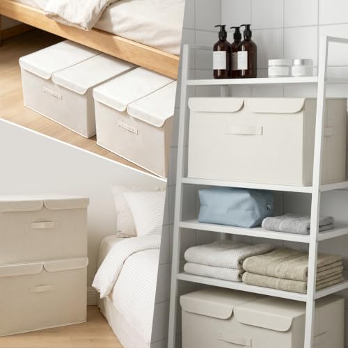 2 Pack Large Storage Boxes with Lids and Handles (2 Count)