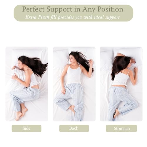 Bed Pillows Queen Size Set of 2 (2 Count)