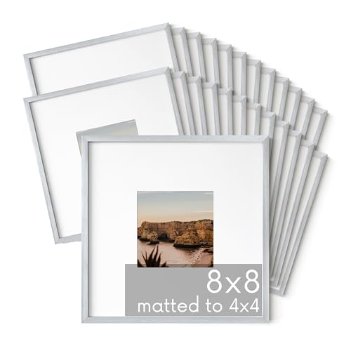 8x8 Silver Metal Picture Frames Matted to 4x4