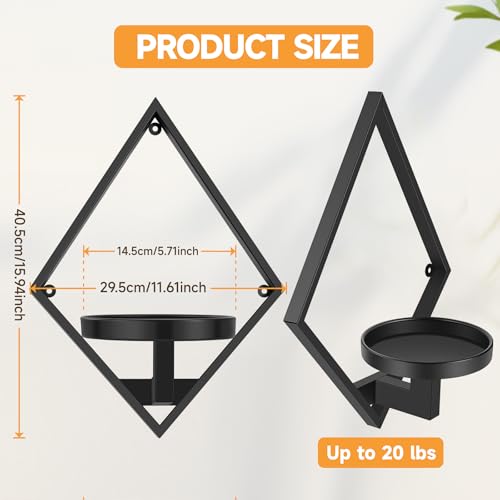 Wall Plant Holder