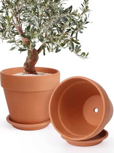 12 Inch Terracotta Pot Set of 2 with Saucer (2 Count)