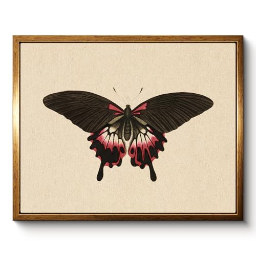 Vintage Black Pink Butterfly Framed Halloween Wall Art