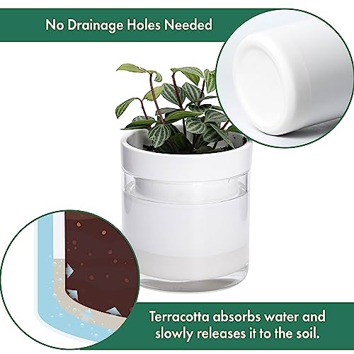 4 Inch Self Watering Planter (3 Count)