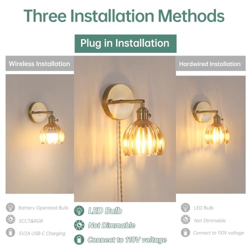 Plug in Wall Sconce