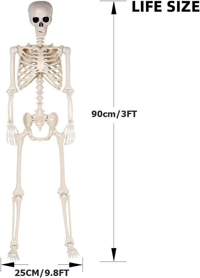 2 Pack 36" Halloween Skeleton