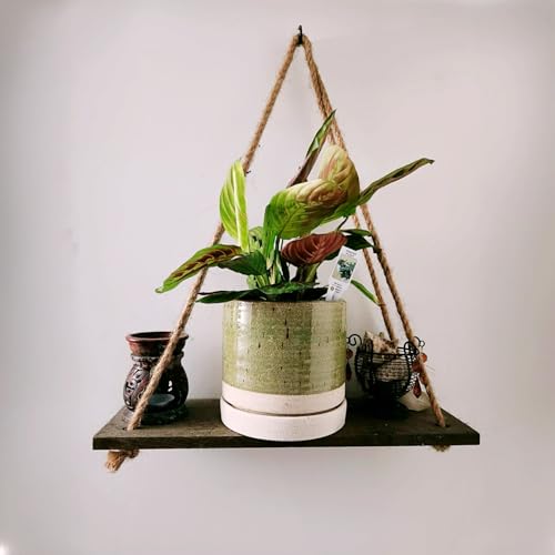 6 Inch Plant Pots