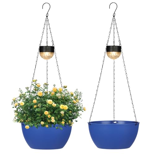 2 Pack Solar Hanging Planters for Plants Outdoor (2 Count)