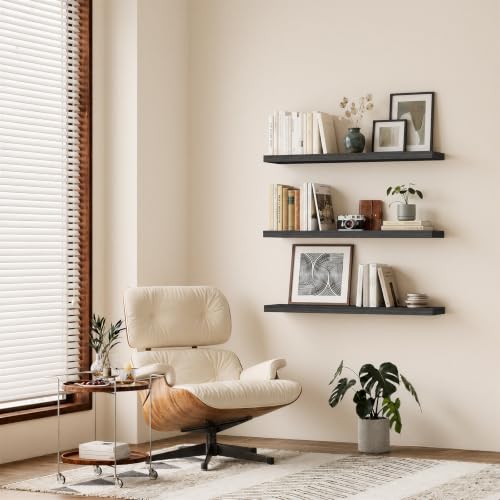Floating Shelves