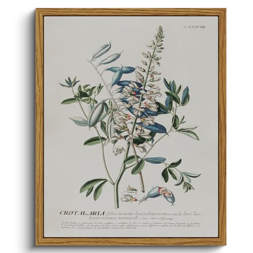 Framed Botanical Wall Art Herb Canvas Prints