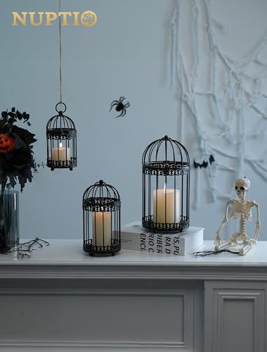 Decorative Bird Cages for Centerpiece (3 Count)