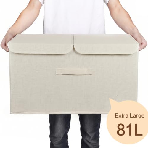 2 Pack Large Storage Boxes with Lids and Handles (2 Count)