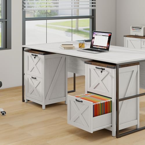 Vertical File Cabinet with 2 Drawers