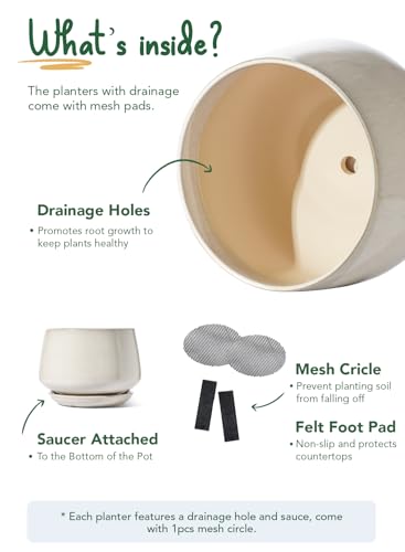 Ceramic Plant Pots (2 Count)