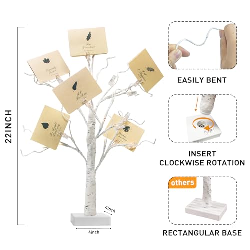 Set of 2 Money Trees (2 Count)