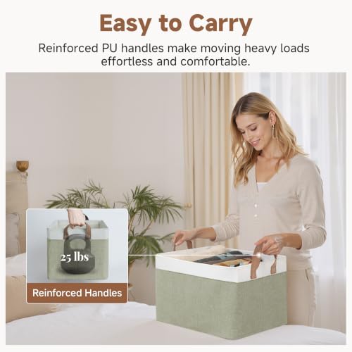 Fabric Storage Bins for Shelf (2 Count)