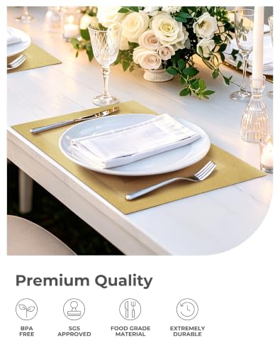 Gold Frame Placemats Set of 12 (12 Count)
