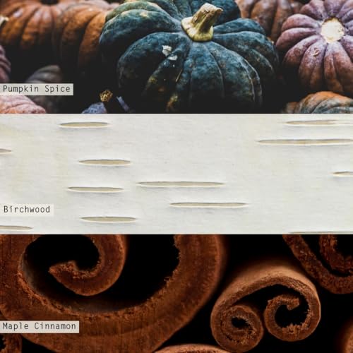 Noble Holiday Collection Midnight Pumpkin Demi Vanity Tin Candle