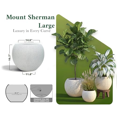 Premium Mt Sherman Fiberstone Sphere Planter for Indoor Outdoor Use