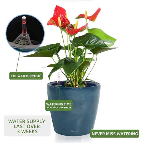 11x10 Self Watering Planter