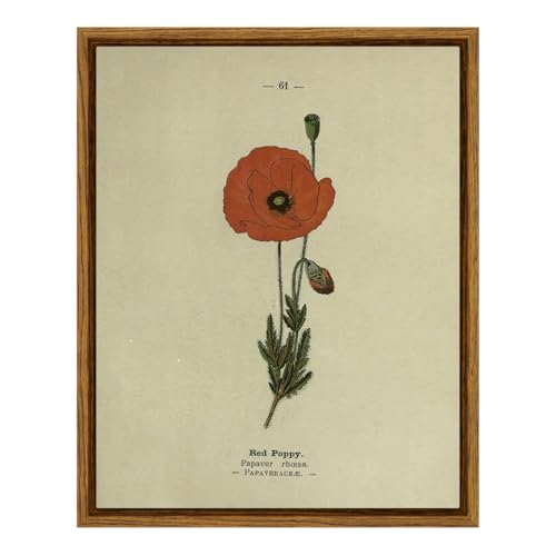 Framed Wall Art Decor for Living Room