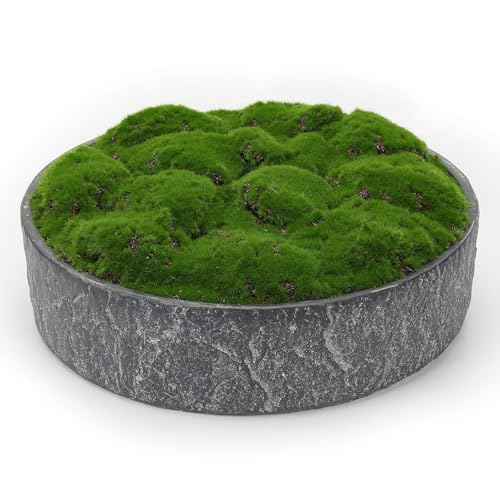 New Moss Bowl