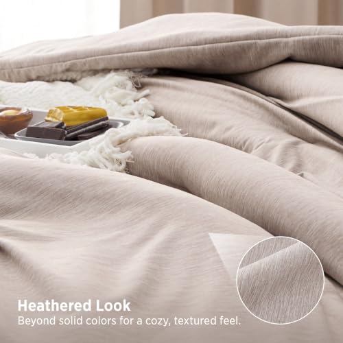 Oat Queen Comforter Set