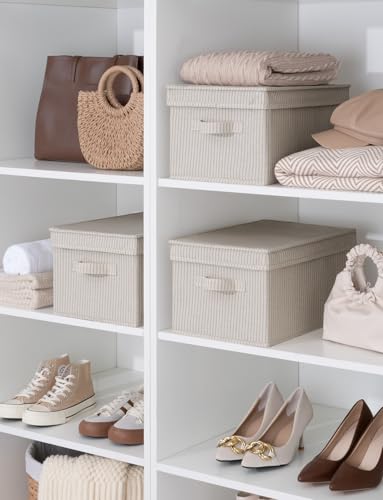 Fabric Storage Bins with Lids (3 Count)
