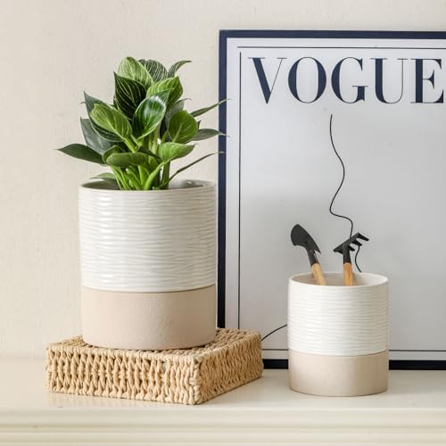 Ceramic Self Watering Plant Pot for Indoor Plants