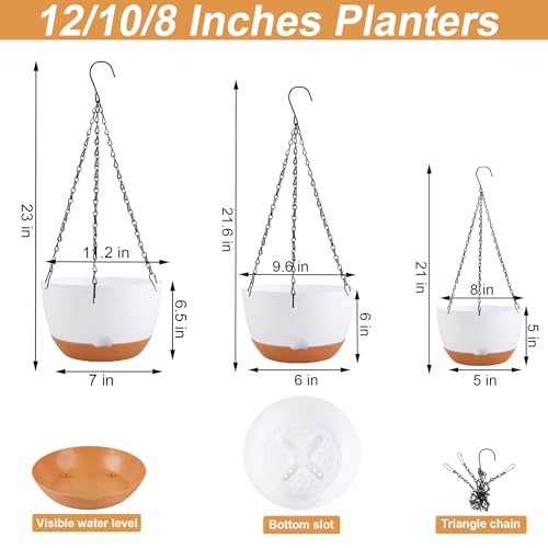 Hanging Planters (3 Count)