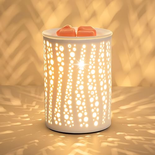 Electric Wax Melt Warmer for Scented Wax or Oil Ceramic Wax Warmer