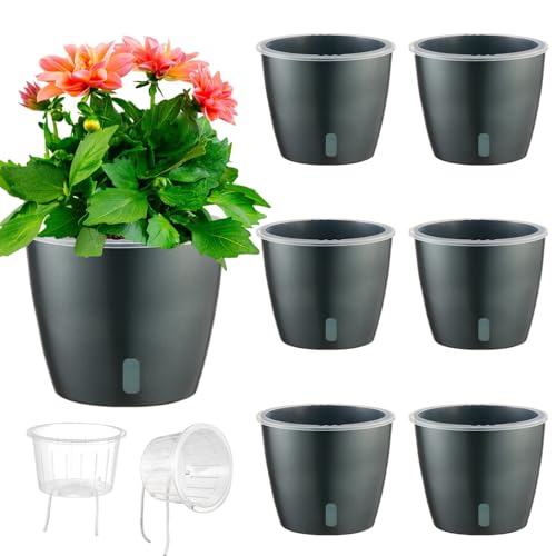 Self Watering Pots for Indoor Plants