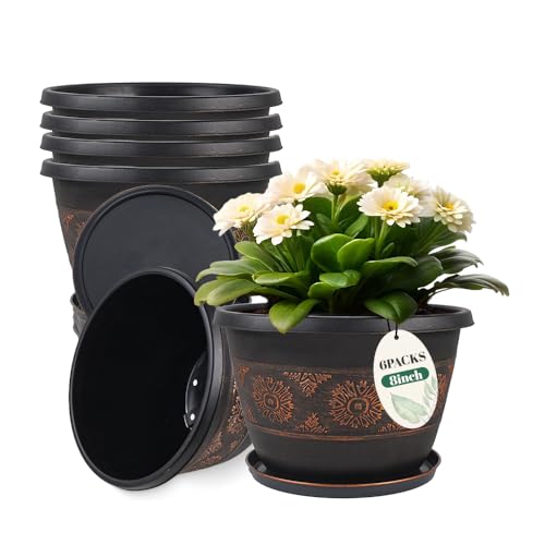 8 Inch Plant Pots (6 Count)