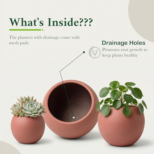 Premium Mt Sherman Fiberstone Sphere Planter for Indoor Outdoor Use