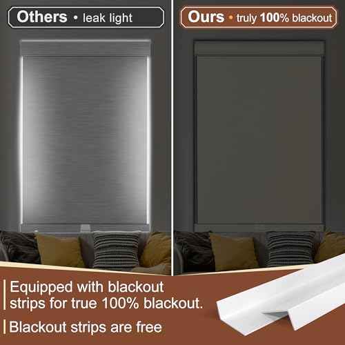 Cordless Dual Roller Shades.Beige and White.59 W x 72" H