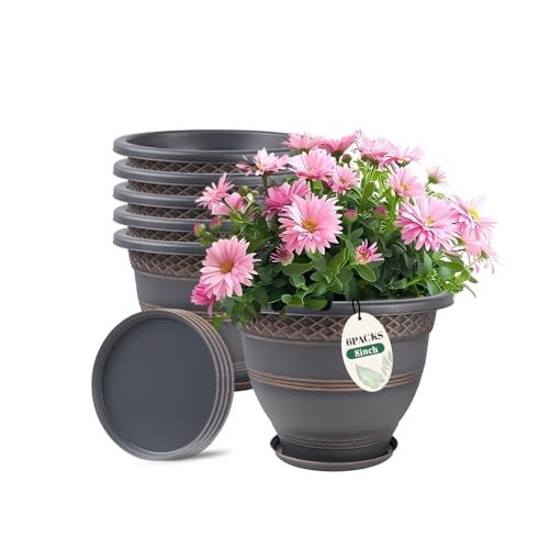 8 Inch Plant Pots (6 Count)