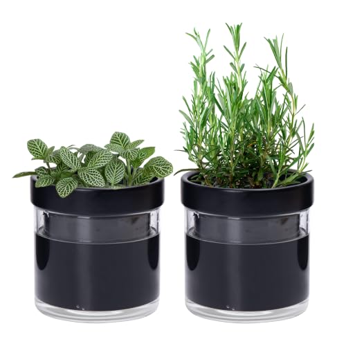 4 Inch Self Watering Planter Pot (2 Count)