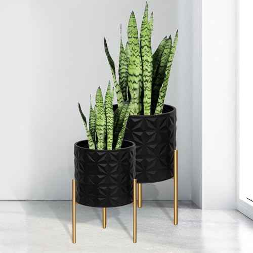 Modern Planter Pots (2 Count)